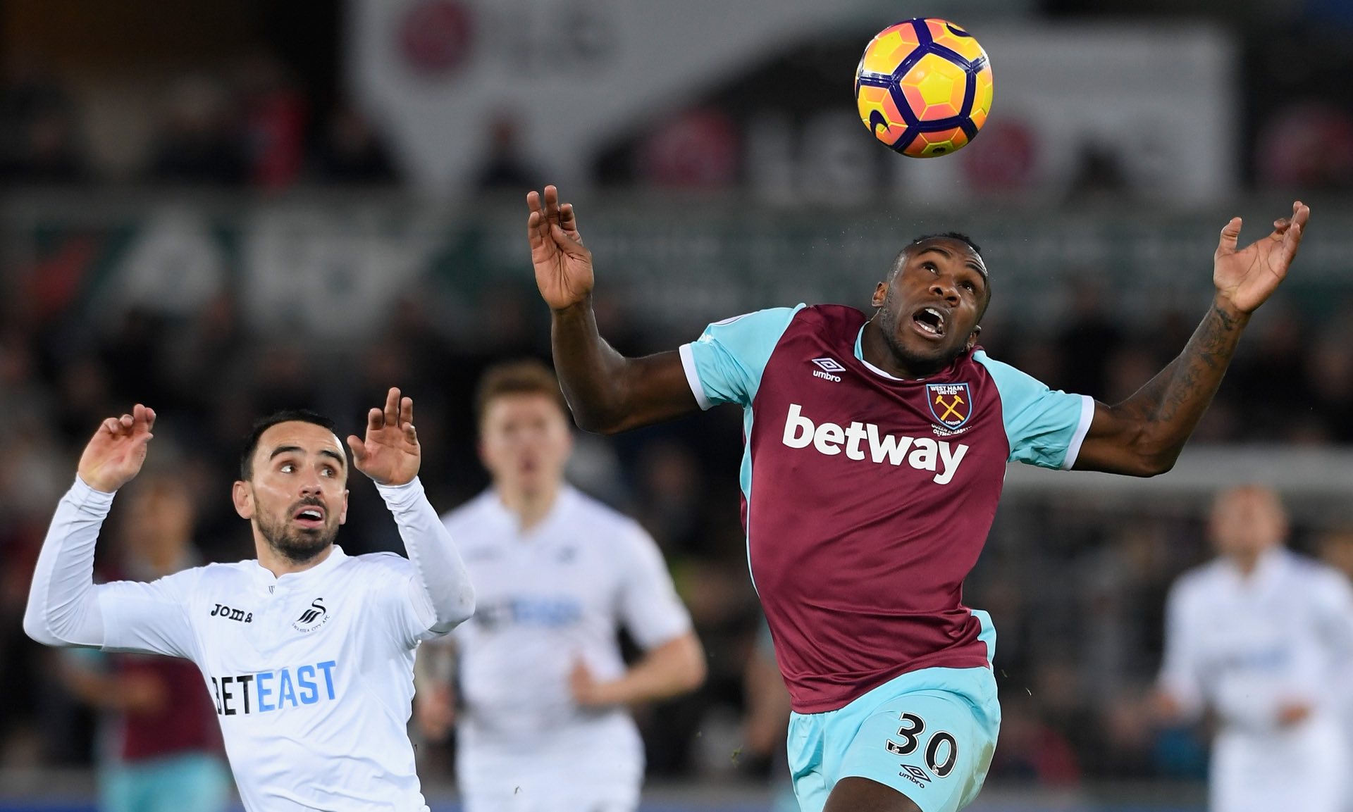 猛龙队不仅 猛龙队不仅